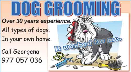 dog grooming